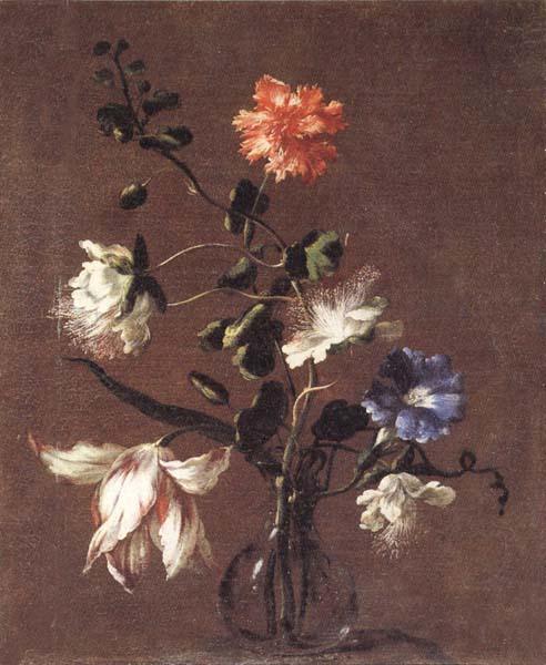 Mario Dei Fiori Theee Caper Flower,a Carnation,a Bindweed,and a Tulip Sweden oil painting art